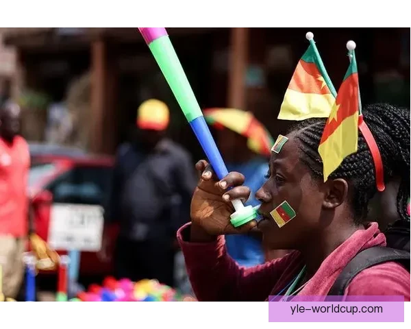 非洲杯决赛冲突非足联商讨处罚