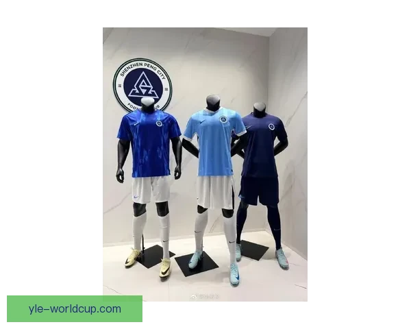 新鹏城主场新球衣529元预售